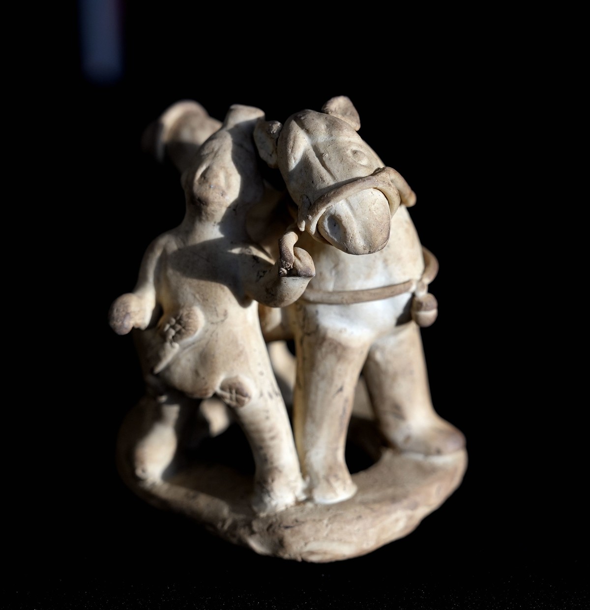 老师们立春新气象古玩摄影