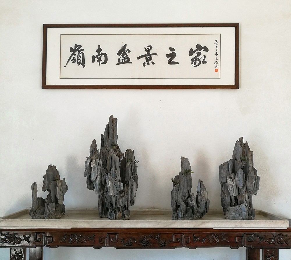 嶺 南 盆 景 之 家