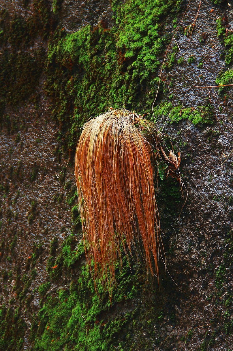 旅游抓拍竟然遇上《打劫的和妹子花草风景》片，出行要小心！来组热闹贴周末愉快！