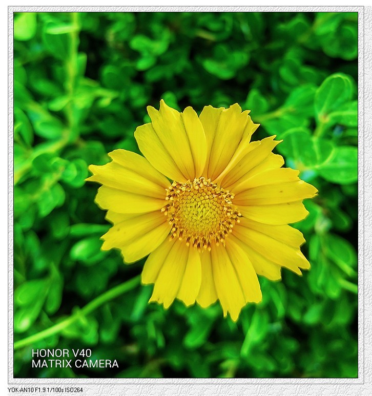 旅游抓拍竟然遇上《打劫的和妹子花草风景》片，出行要小心！来组热闹贴周末愉快！