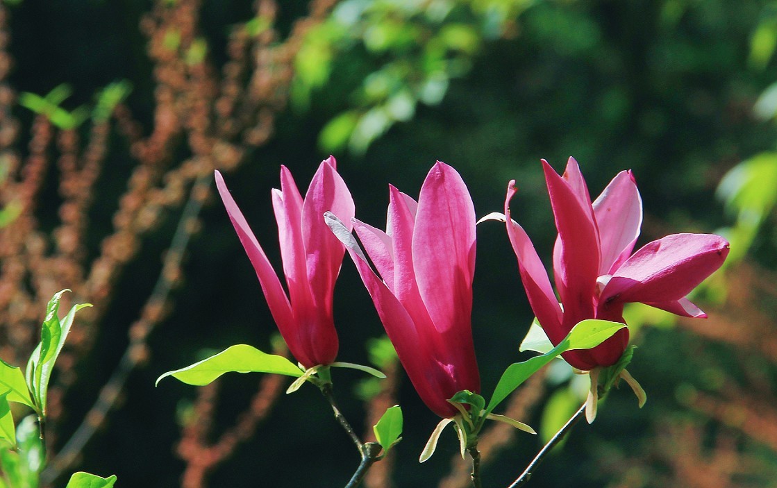 旅游抓拍竟然遇上《打劫的和妹子花草风景》片，出行要小心！来组热闹贴周末愉快！