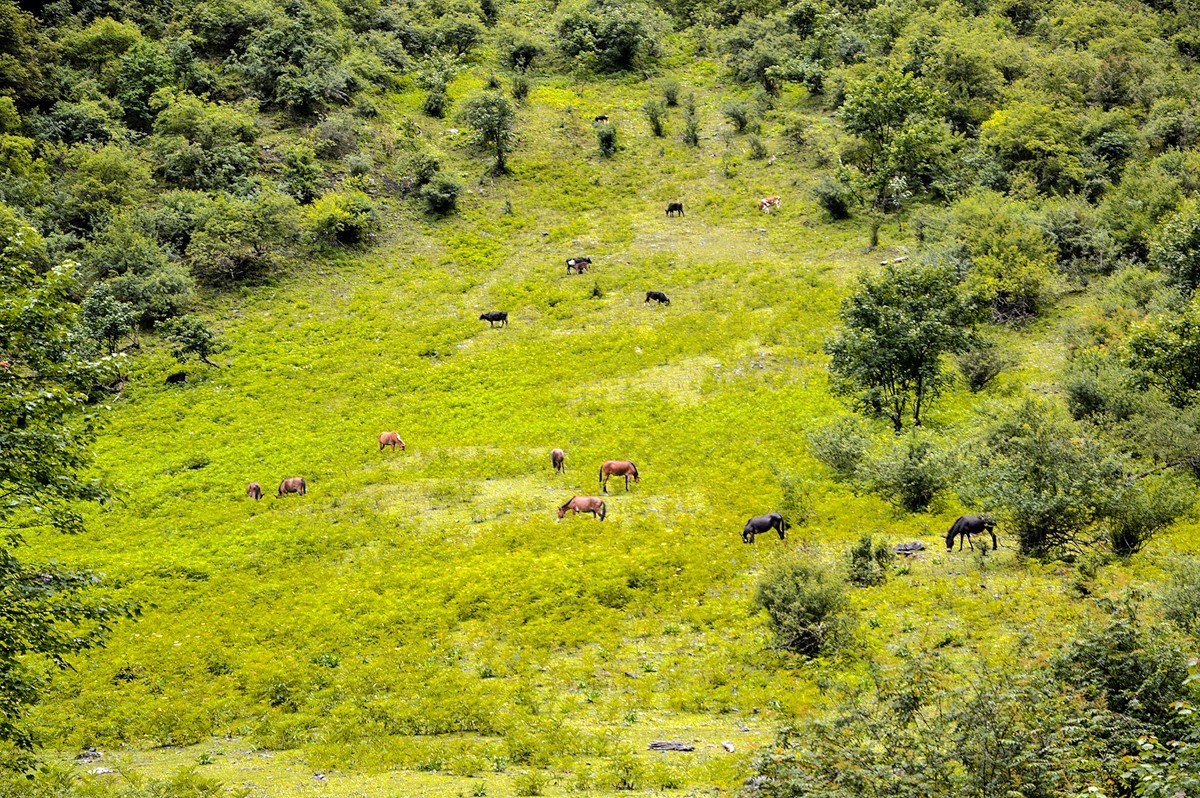 2023年-云南行风光纪实拍-707
