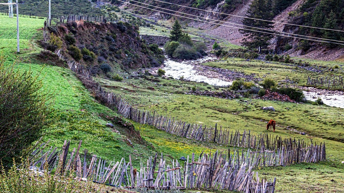 秋行川西高原--新都桥路拍【5】续发