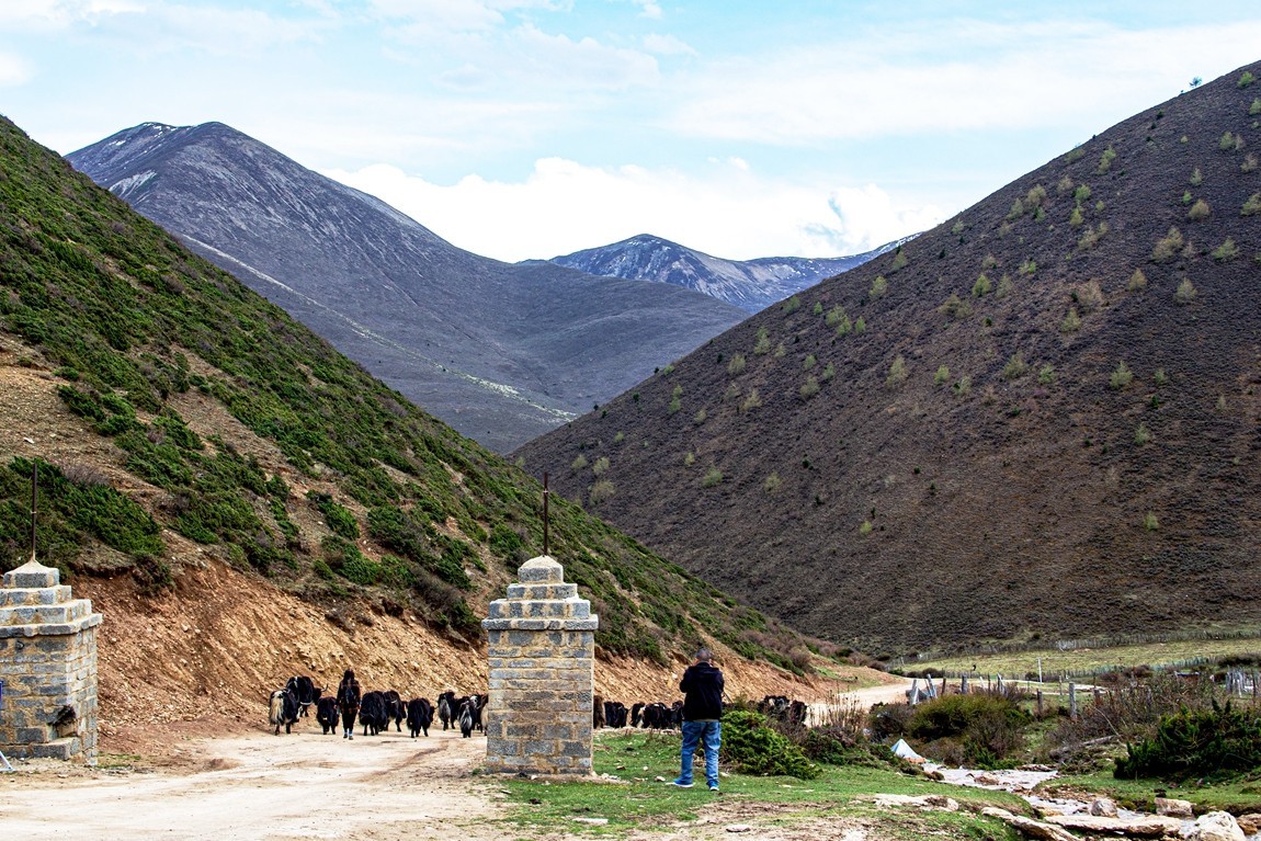 秋行川西高原--新都桥路拍【5】续发