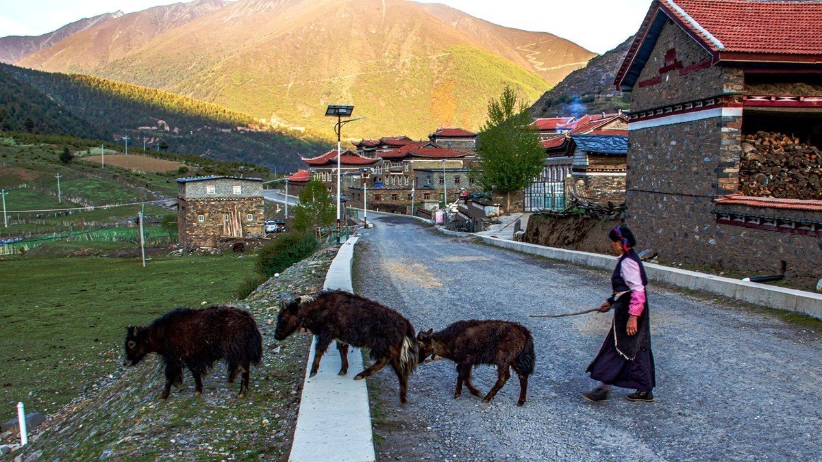 秋行川西高原--新都桥路拍【6】