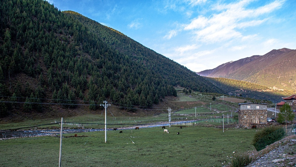 秋行川西高原--新都桥路拍【6】