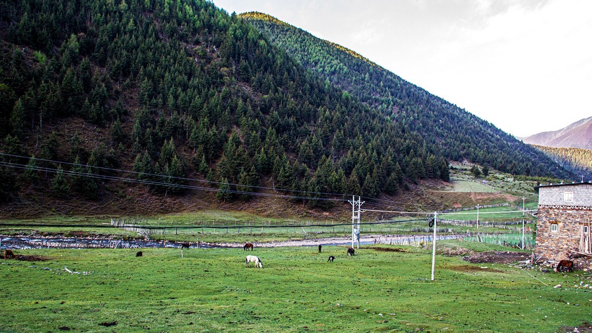 秋行川西高原--新都桥路拍【6】