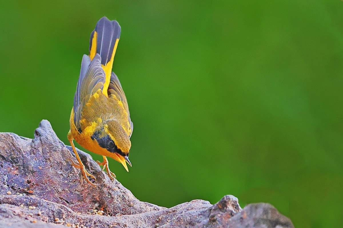 祝各位老师龙年吉祥，新的一年身体健康，阖家幸福，万事如意，快快乐乐每一天！