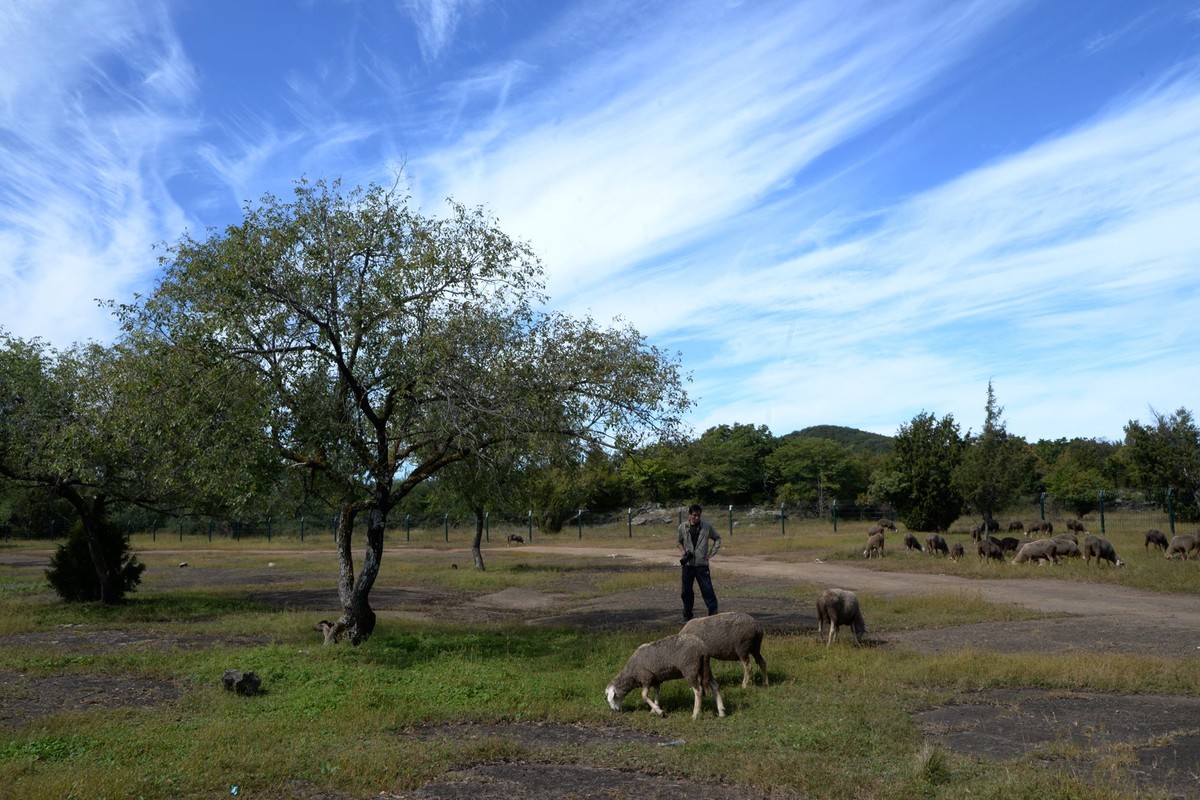 镜泊——喷气碟湿地（3）