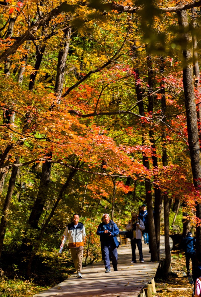 外出随拍（续250）.