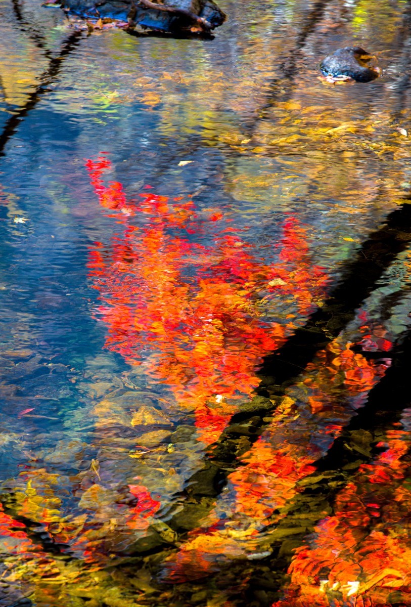 外出随拍（续250）.