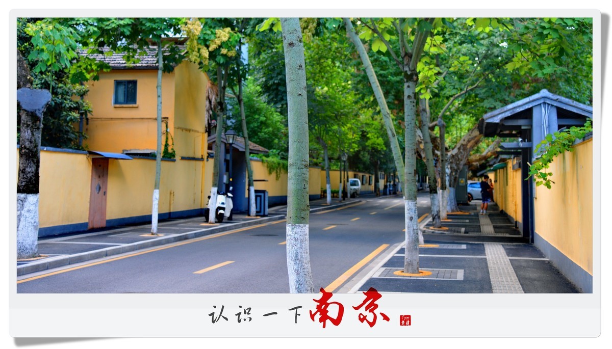 认识一下南京！