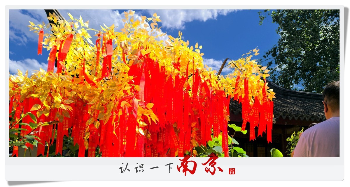 认识一下南京！