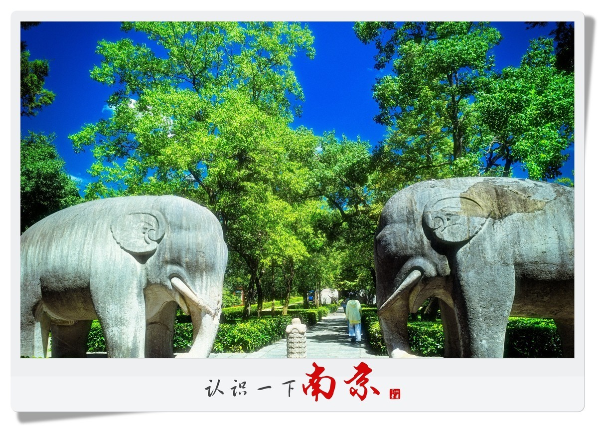 认识一下南京！