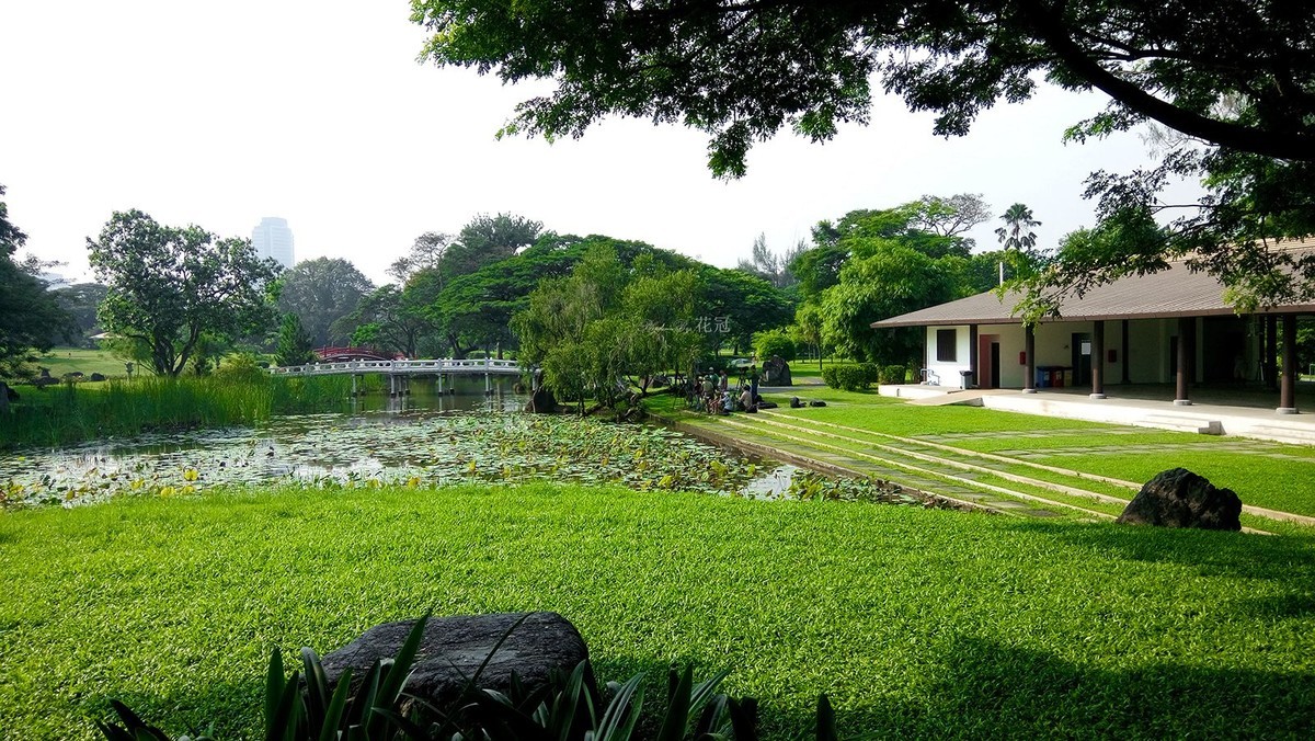 现在苹果+华为手机辅助我拍鸟时候的花絮、场景、记录（长贴）