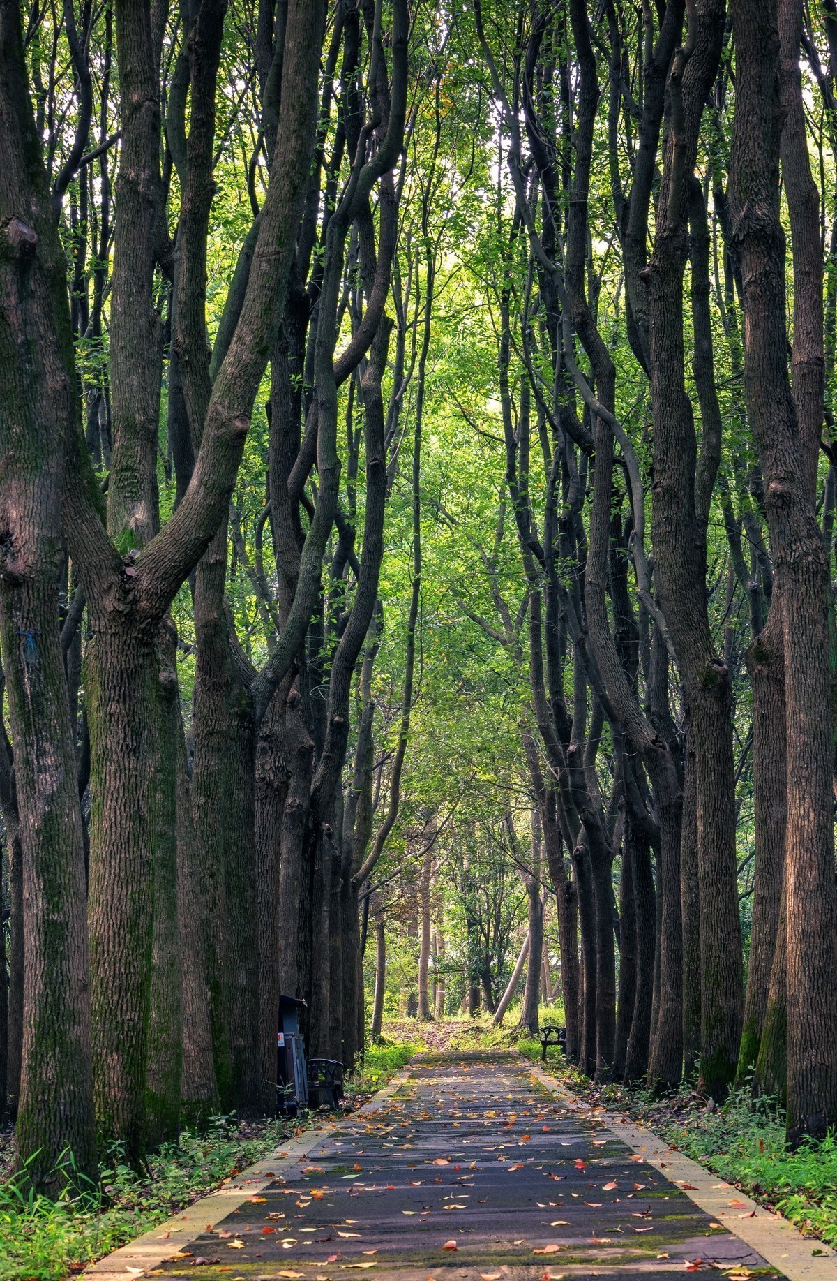 #版主坐堂# 尼康D5100星空(中国)2023年九月份优秀作品精选汇总
