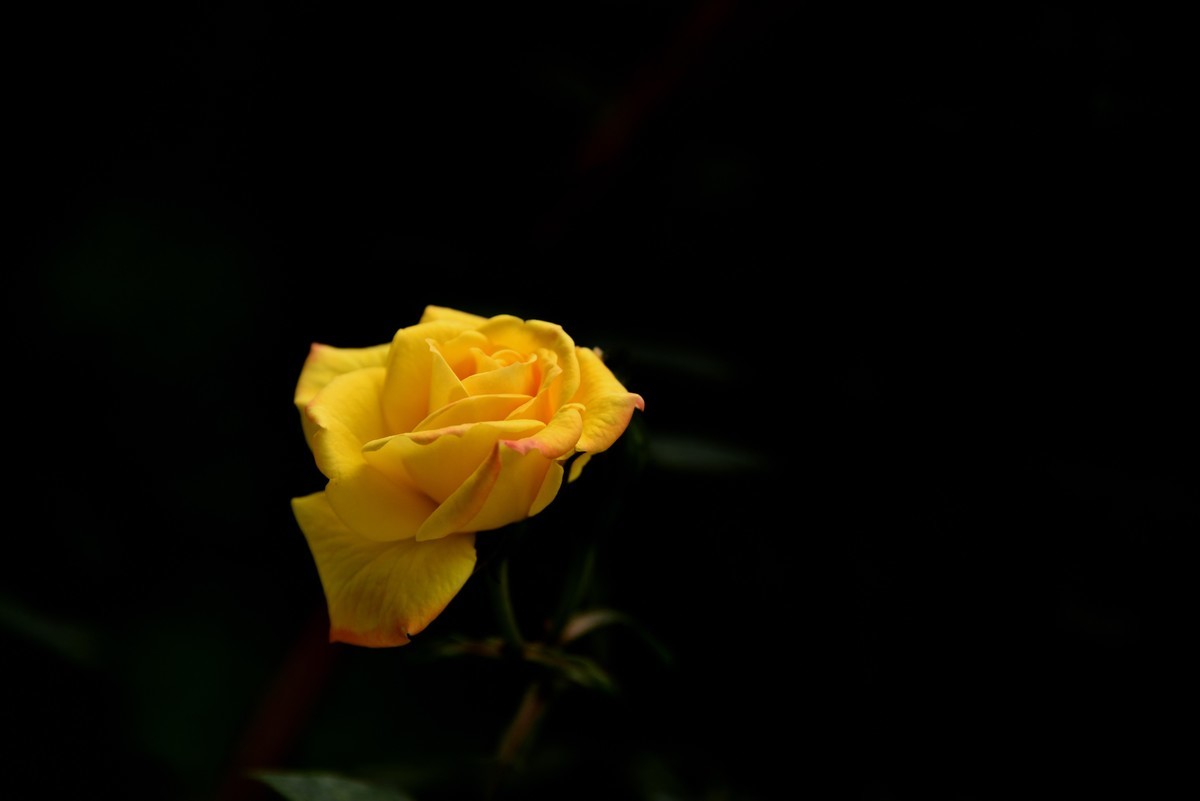 #版主坐堂# 尼康D5100星空(中国)2023年九月份优秀作品精选汇总