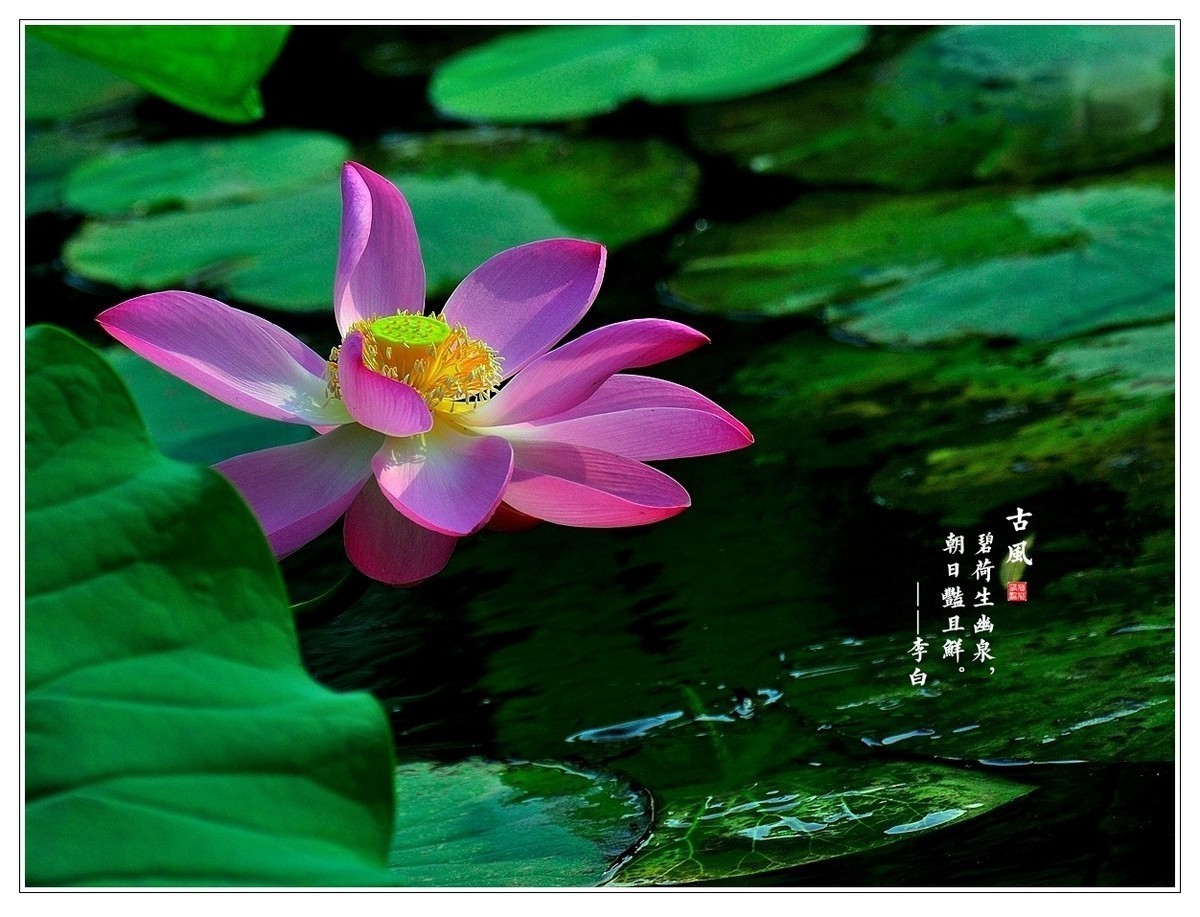 #版主坐堂# 尼康D5100星空(中国)2023年九月份优秀作品精选汇总