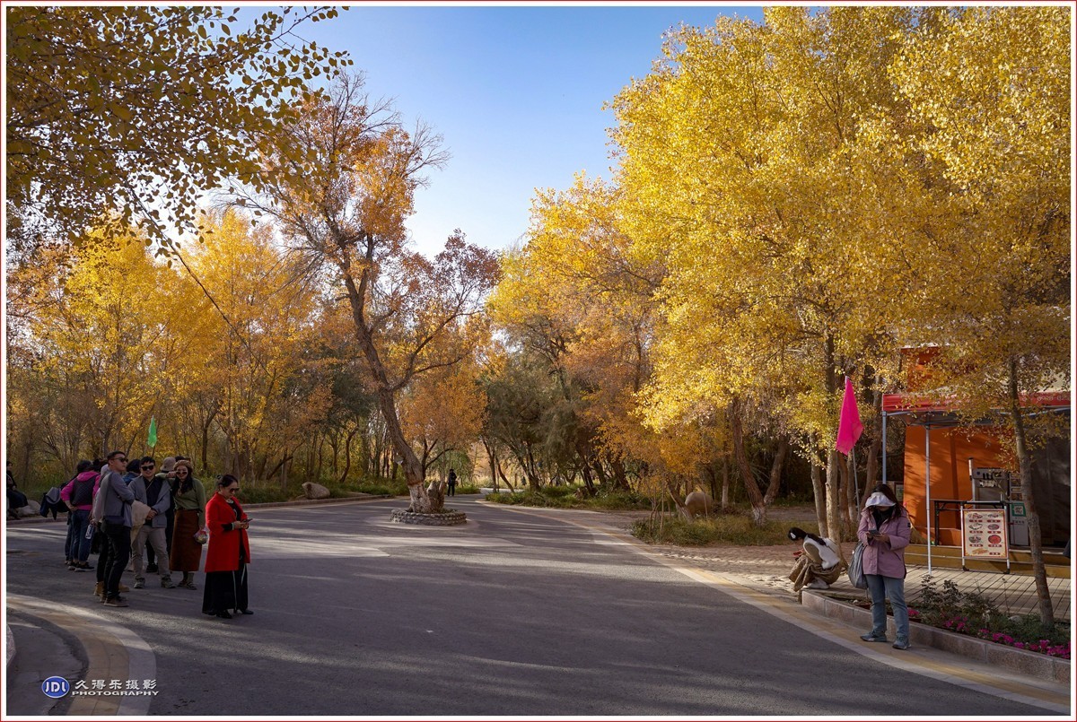 2024-（215）泽普金胡杨林公园（十一）