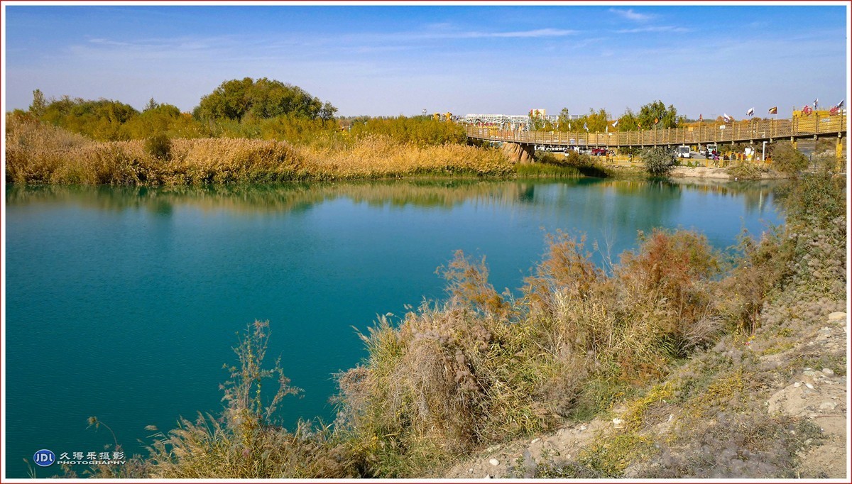 2024-（215）泽普金胡杨林公园（十一）
