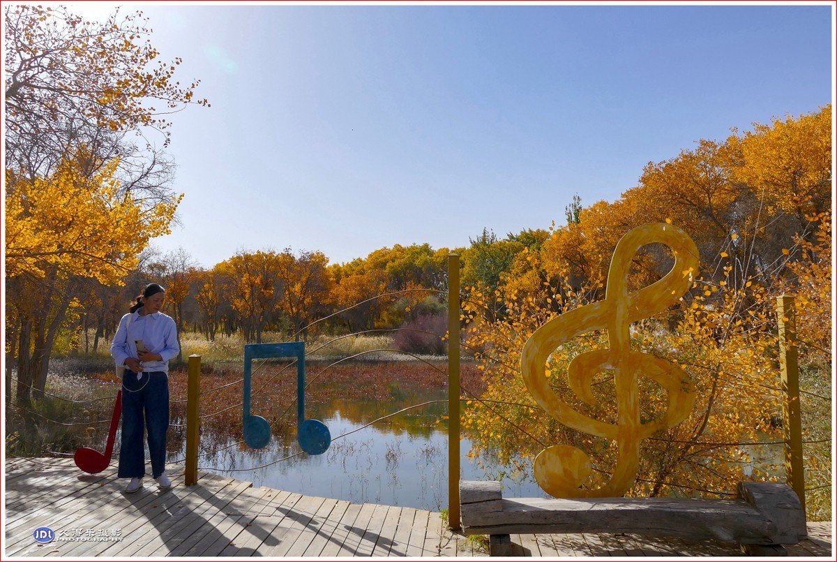 2024-（215）泽普金胡杨林公园（十一）