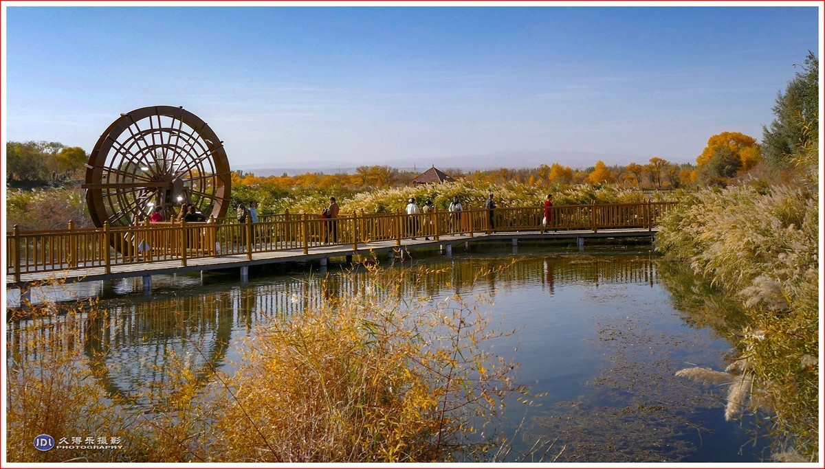 2024-（215）泽普金胡杨林公园（十一）