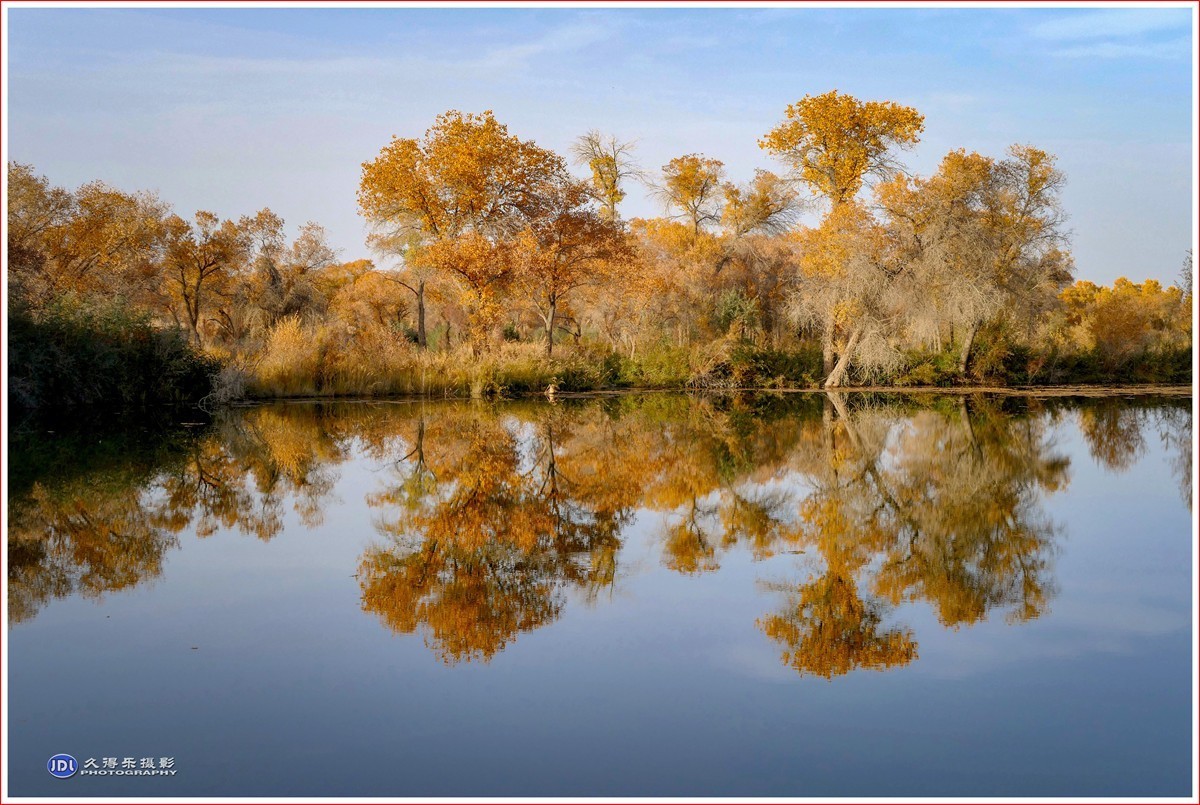 2024-（215）泽普金胡杨林公园（十一）