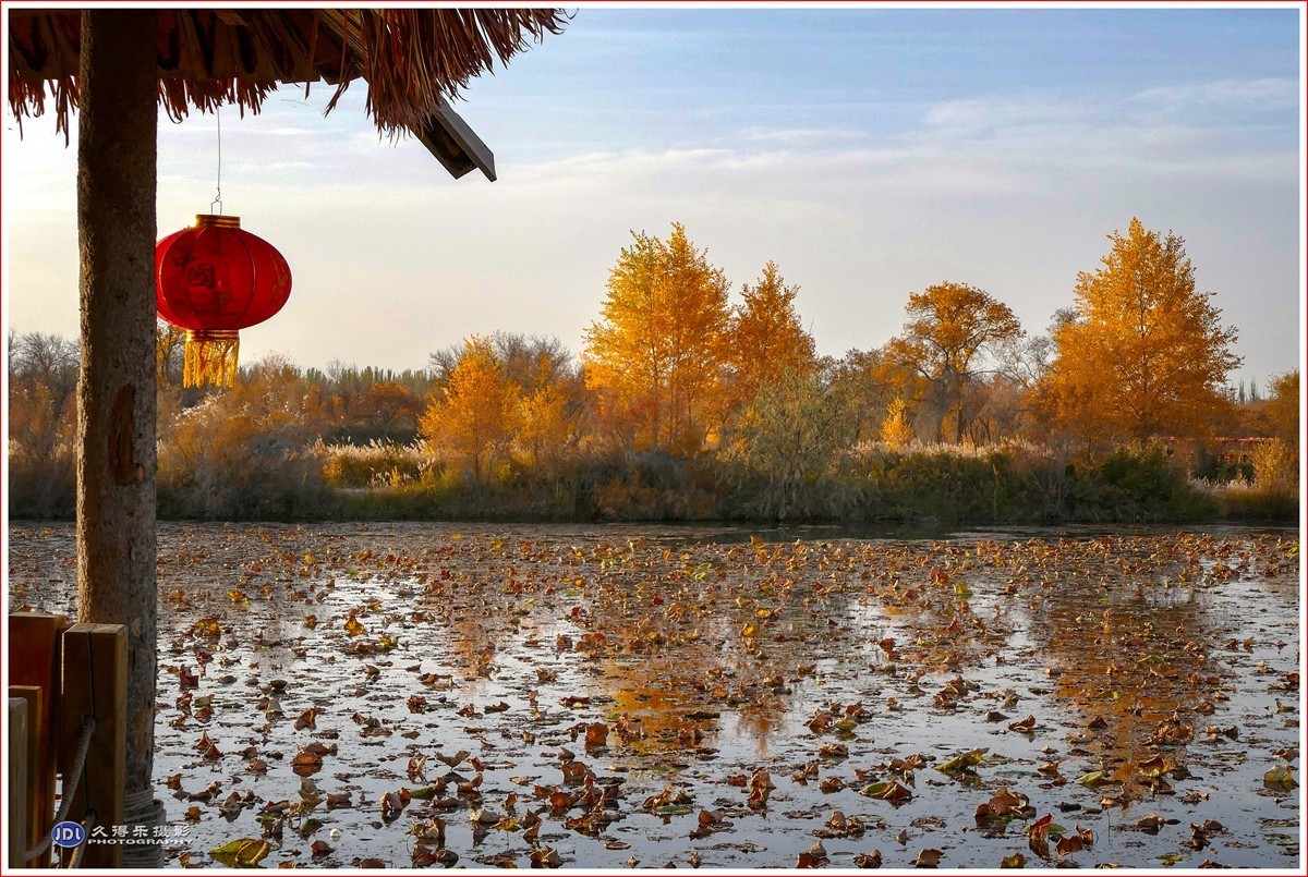 2024-（215）泽普金胡杨林公园（十一）