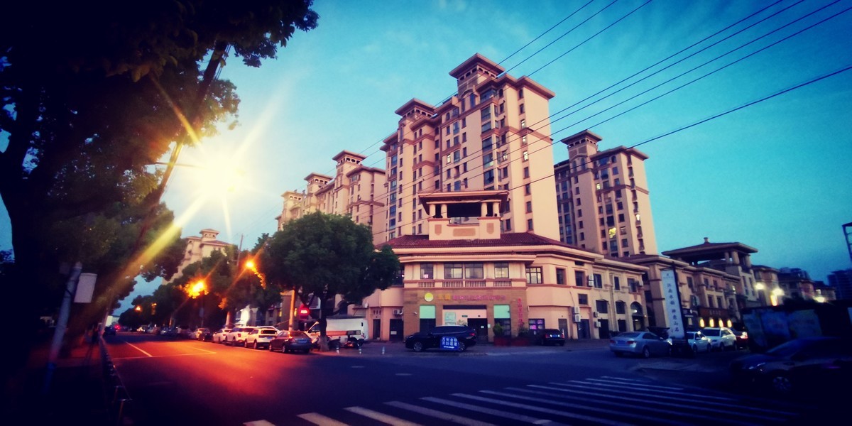 自向深冬著艳阳