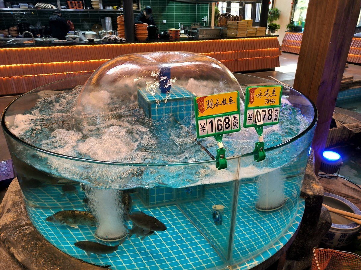 漫步星城 走街串巷（606）生态湘菜庄园