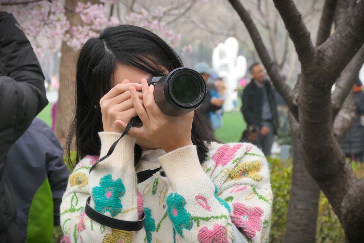 【樱】姿飒爽 春意萌萌2025——摄于上海雕塑公园