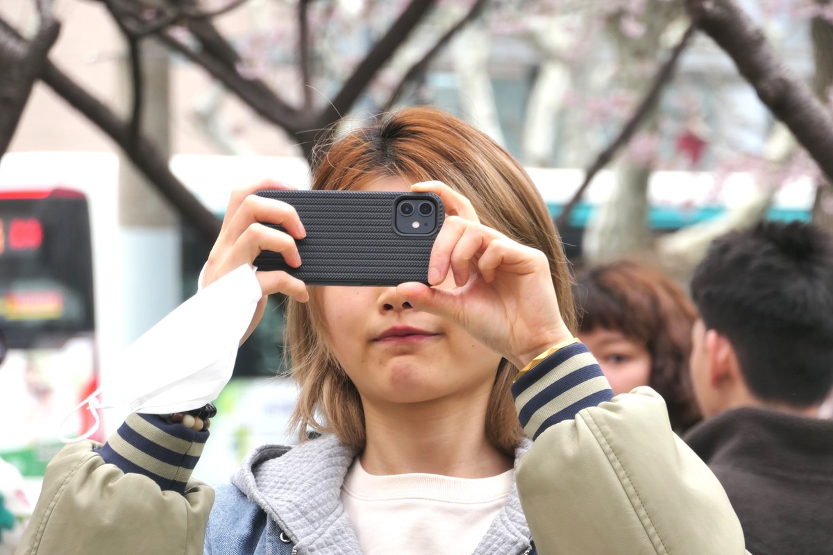 【樱】姿飒爽 春意萌萌2025——摄于上海雕塑公园