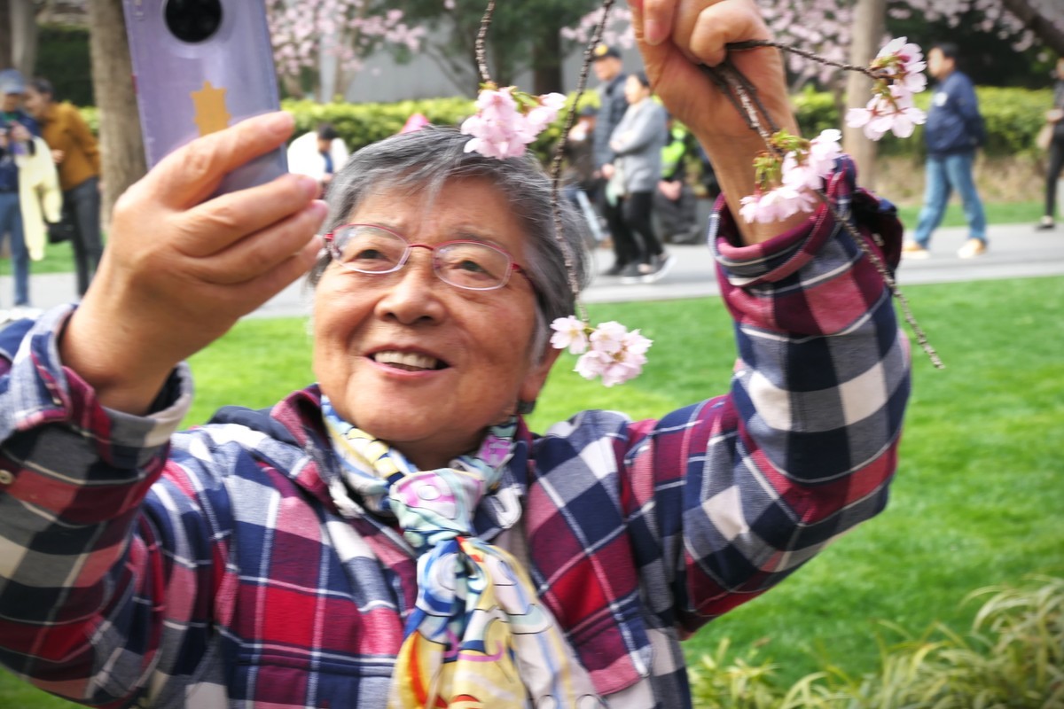 【樱】姿飒爽 春意萌萌2025——摄于上海雕塑公园