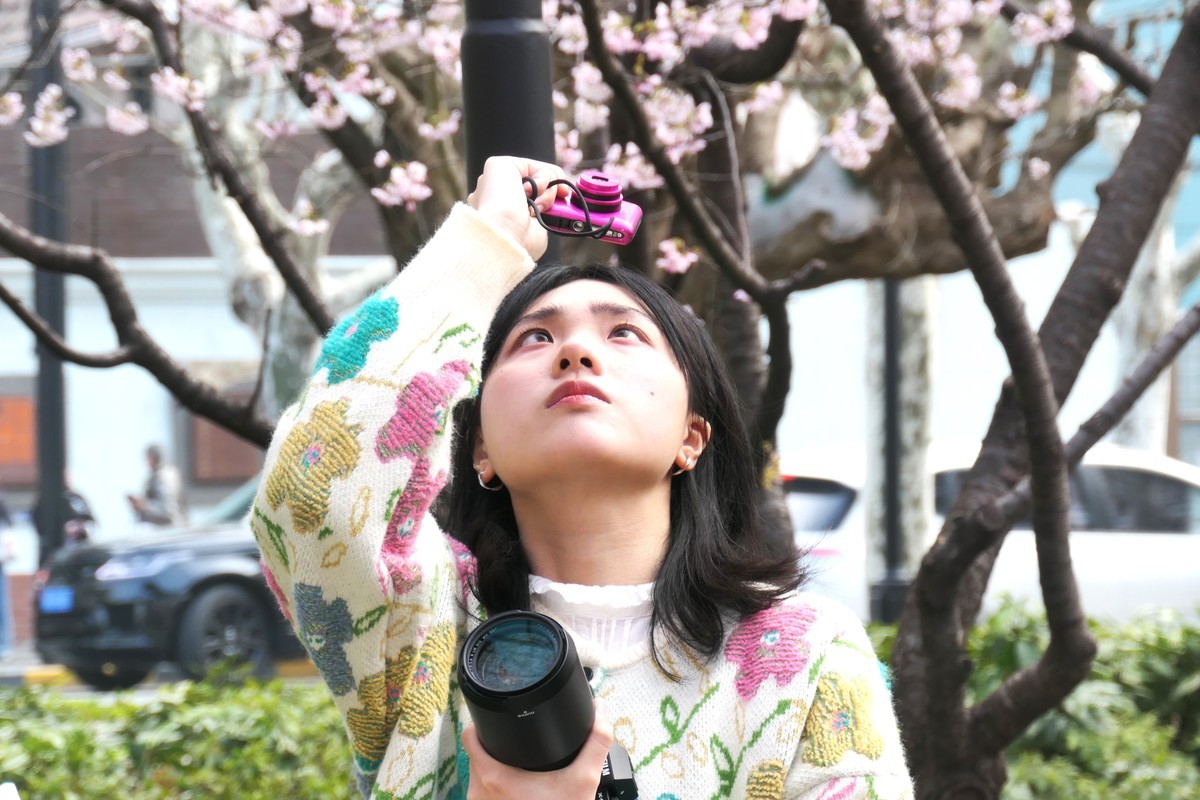 【樱】姿飒爽 春意萌萌2025——摄于上海雕塑公园