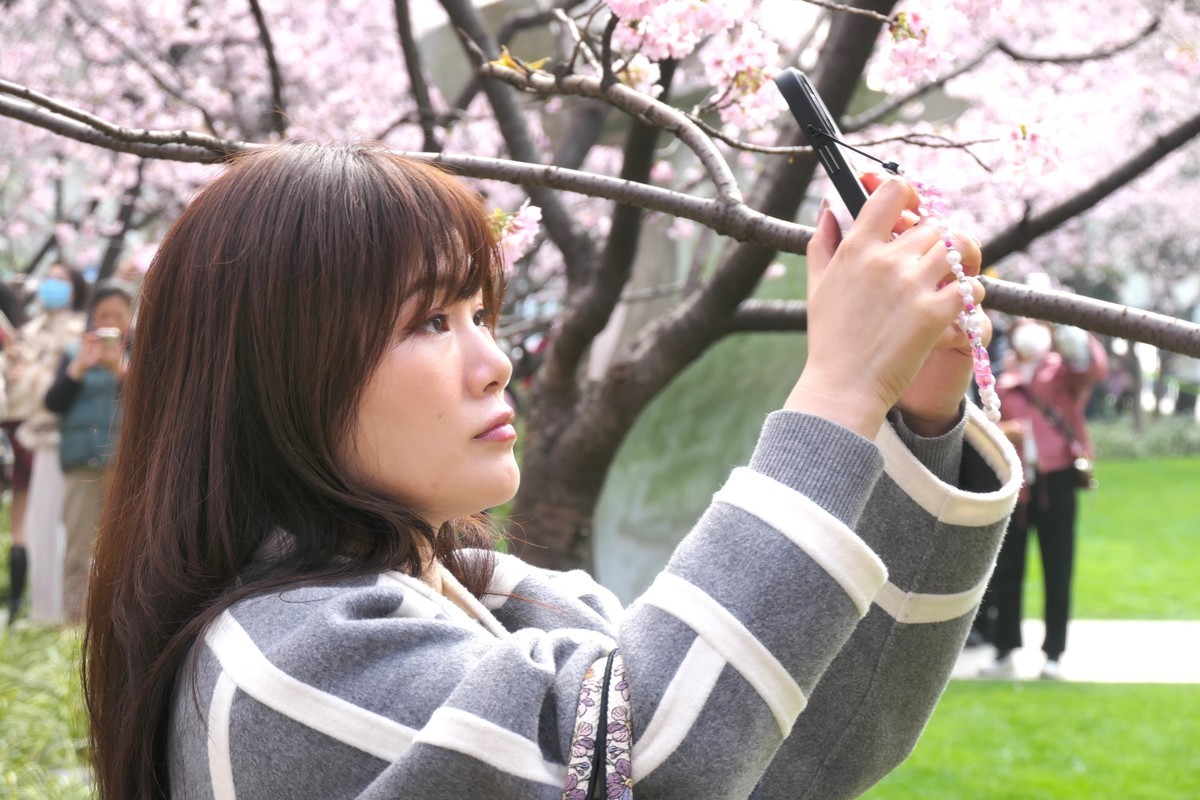 【樱】姿飒爽 春意萌萌2025——摄于上海雕塑公园