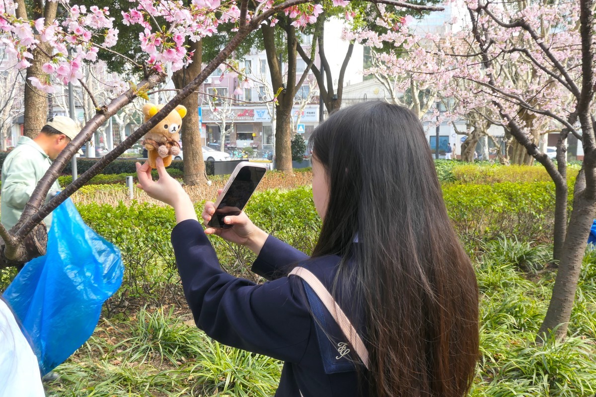 【樱】姿飒爽 春意萌萌2025——摄于上海雕塑公园