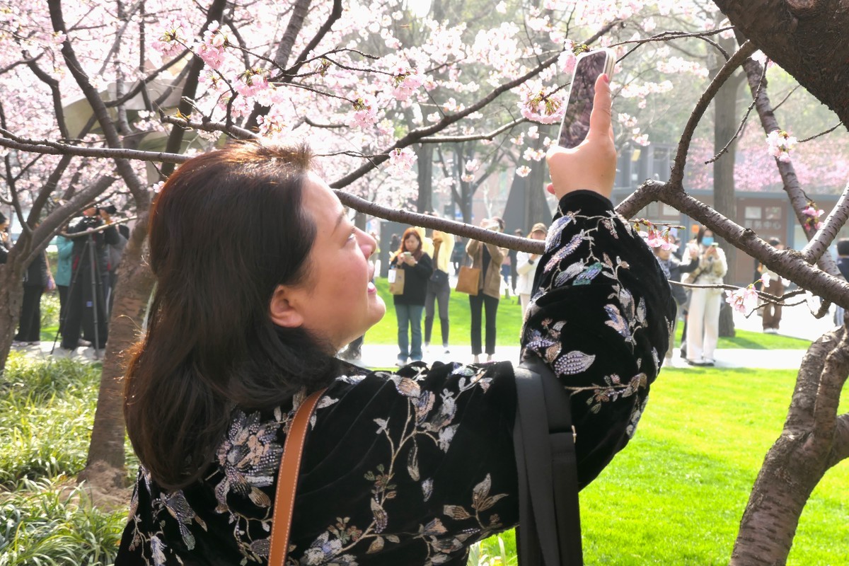 【樱】姿飒爽 春意萌萌2025——摄于上海雕塑公园