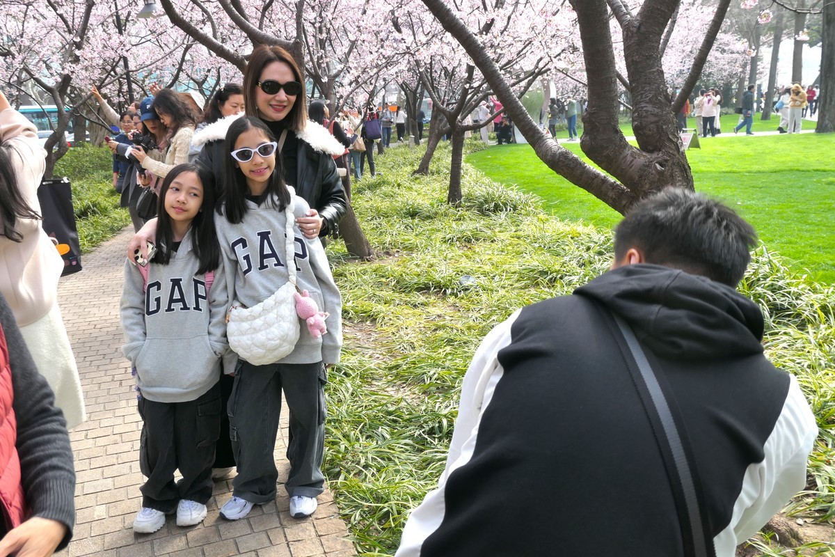 【樱】姿飒爽 春意萌萌2025——摄于上海雕塑公园