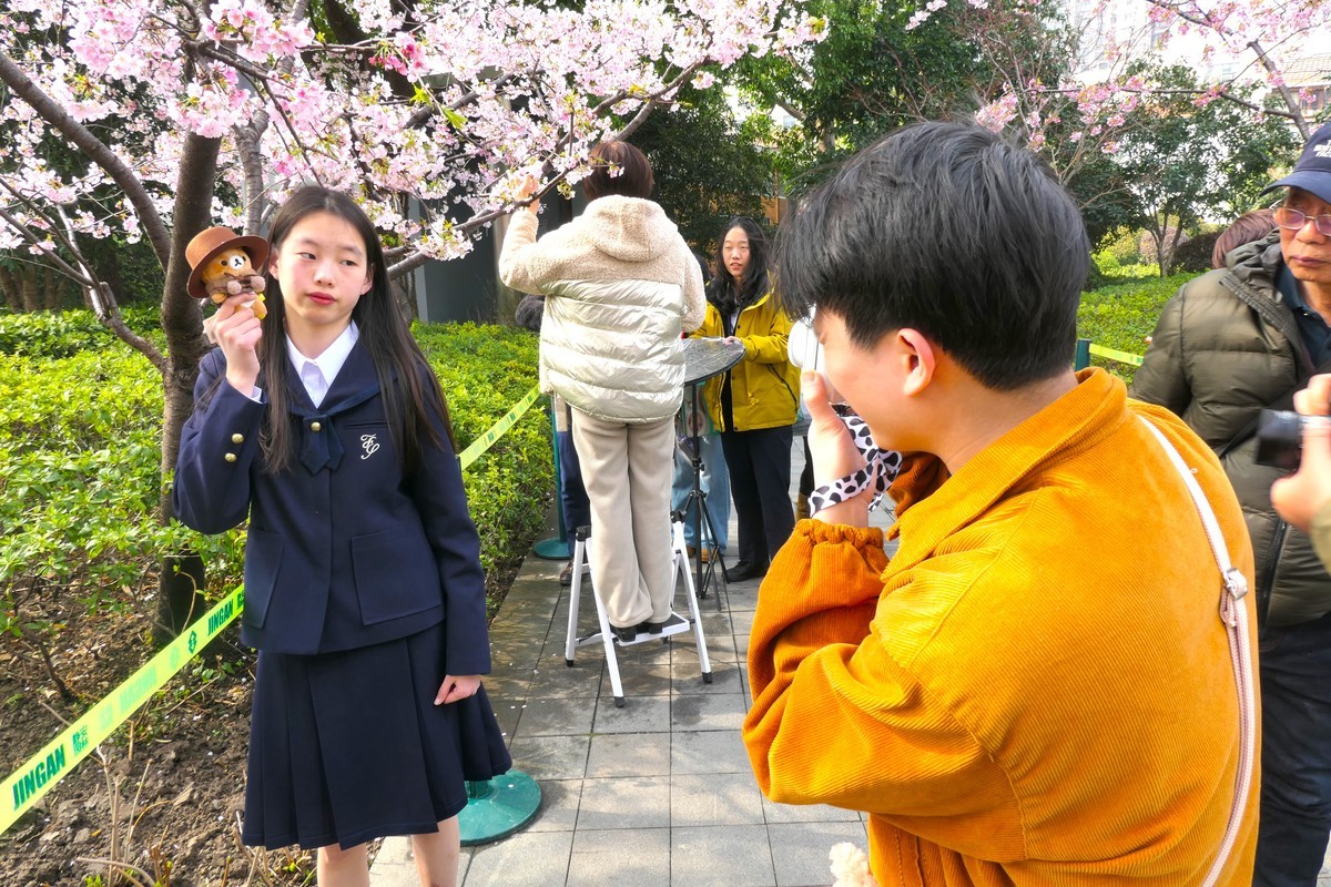 【樱】姿飒爽 春意萌萌2025——摄于上海雕塑公园