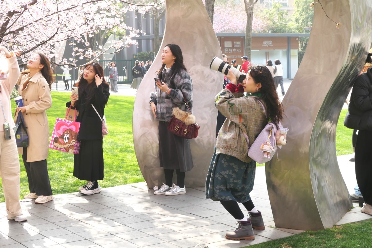 【樱】姿飒爽 春意萌萌2025——摄于上海雕塑公园