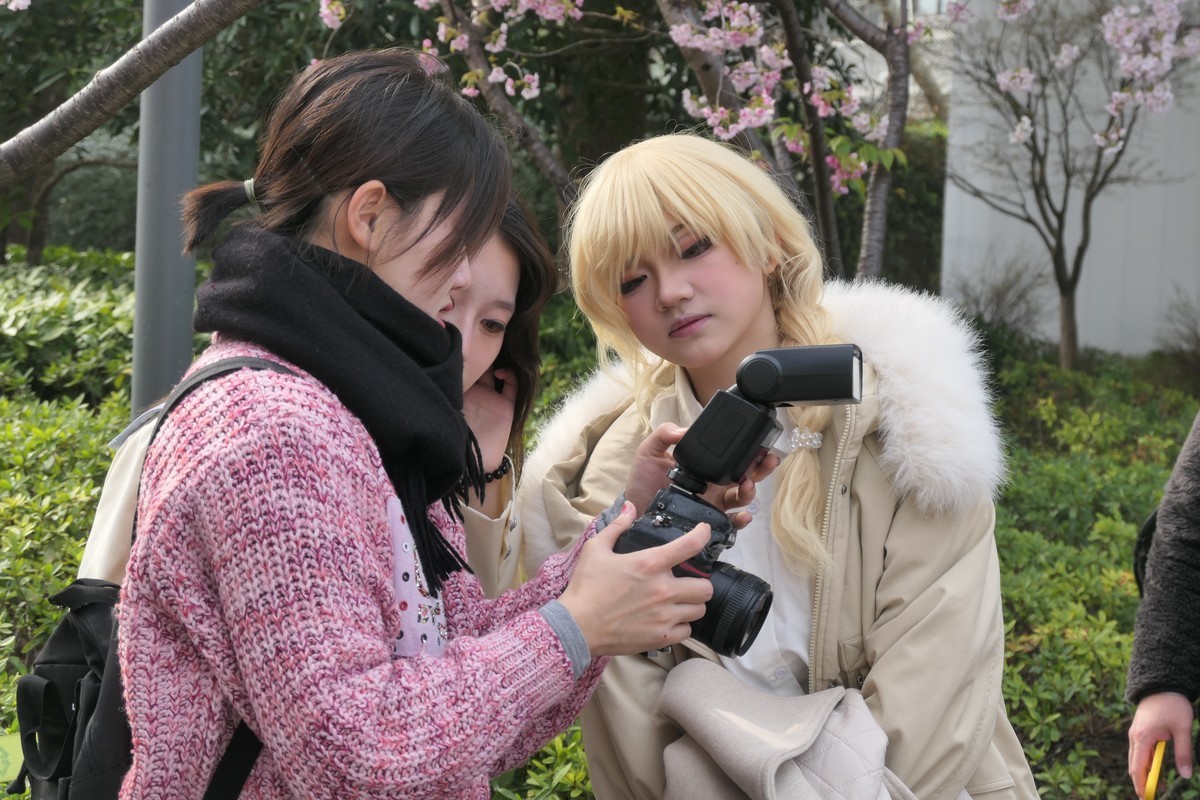 【樱】姿飒爽 春意萌萌2025——摄于上海雕塑公园