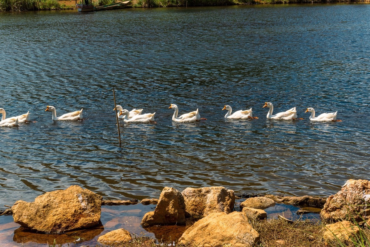 文山普者黑风光（四）