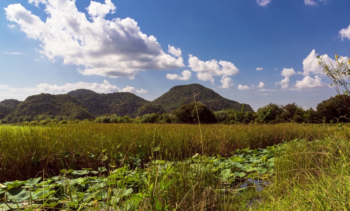 文山普者黑风光（四）