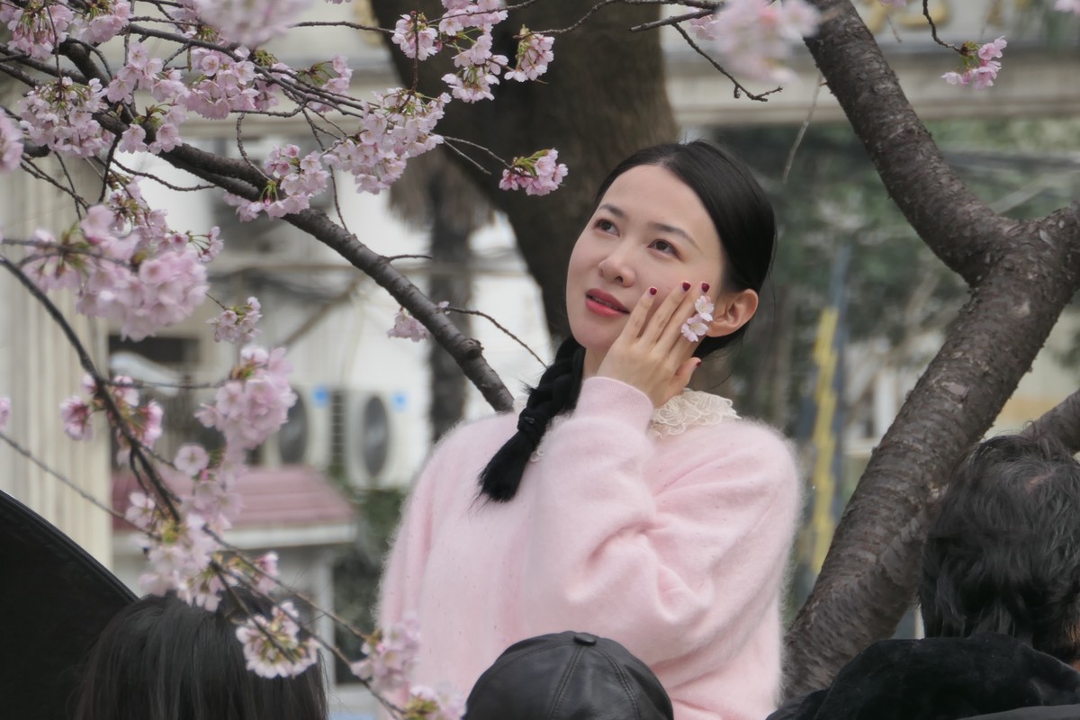 【樱】姿飒爽 春意萌萌2025——摄于上海雕塑公园