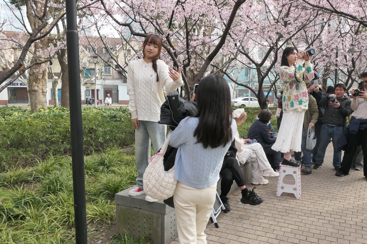 【樱】姿飒爽 春意萌萌2025——摄于上海雕塑公园