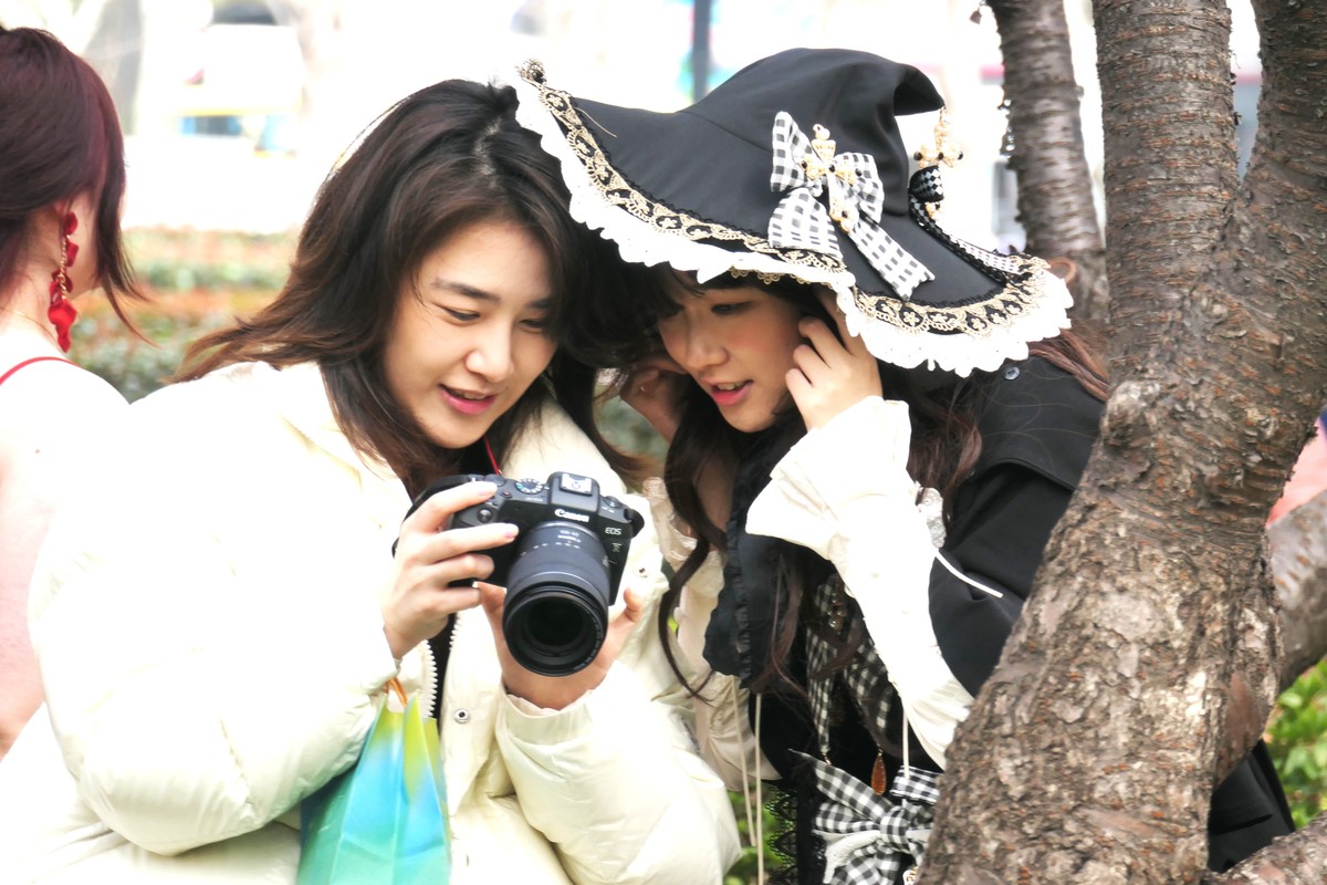 【樱】姿飒爽 春意萌萌2025——摄于上海雕塑公园