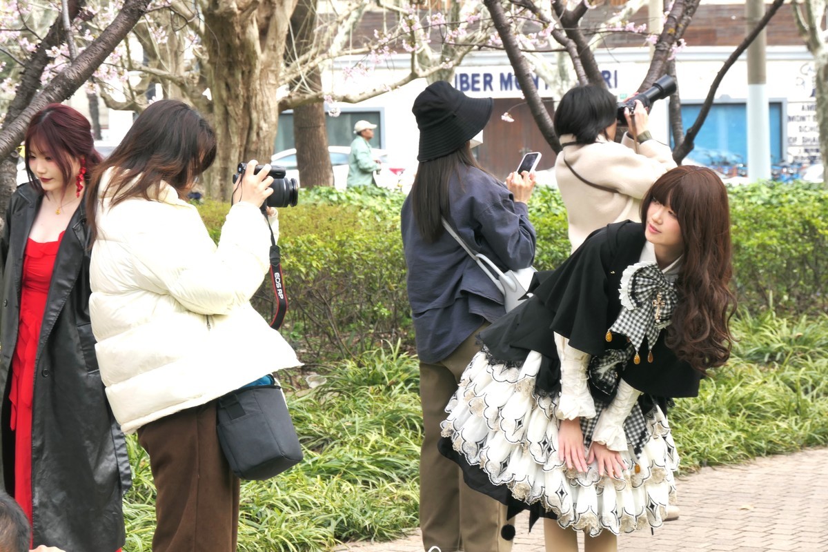 【樱】姿飒爽 春意萌萌2025——摄于上海雕塑公园