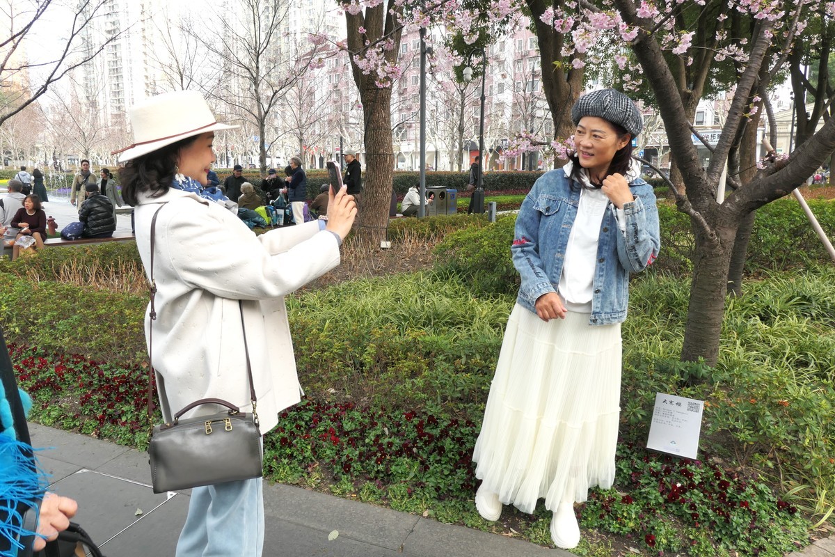 【樱】姿飒爽 春意萌萌2025——摄于上海雕塑公园