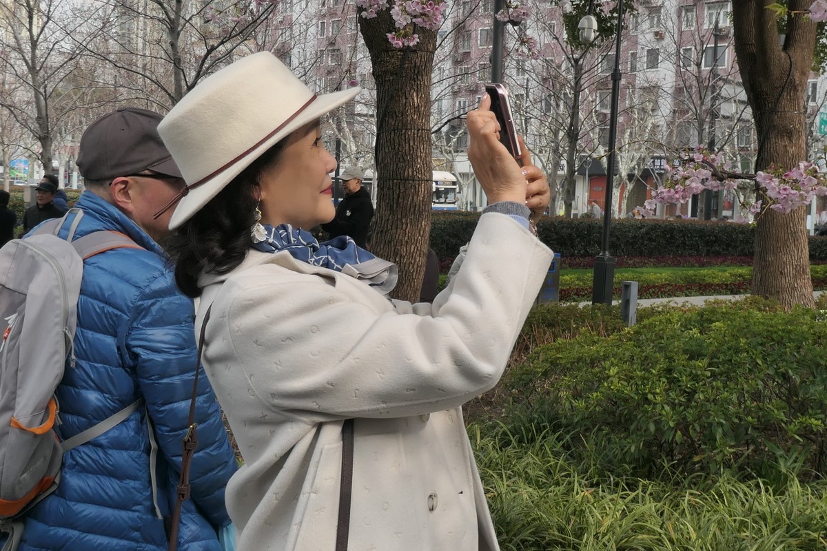 【樱】姿飒爽 春意萌萌2025——摄于上海雕塑公园