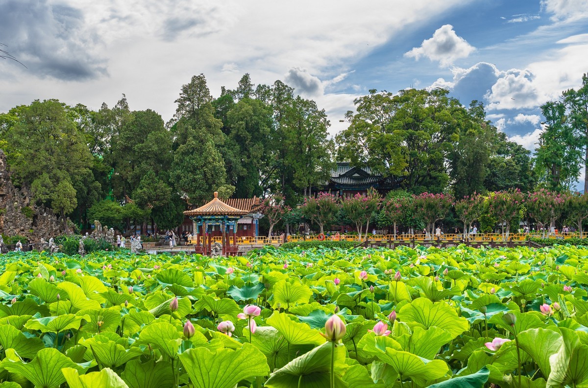 滇池岸边好风光